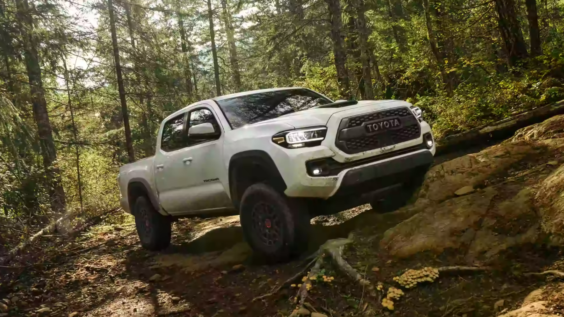 New 2023 Toyota Tacoma Near Me in Zanesville, OH