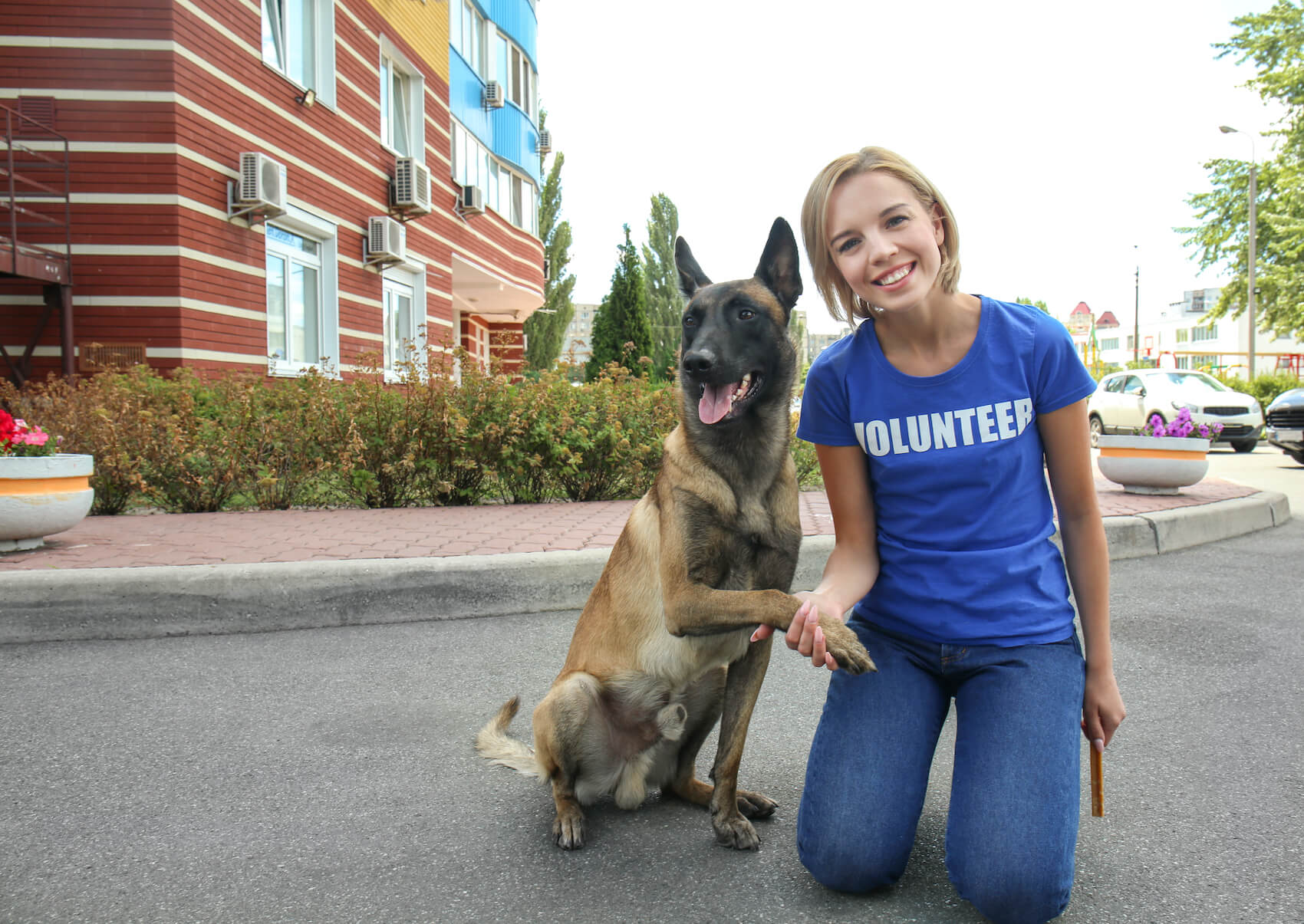 About Kind Hands 4 Paws